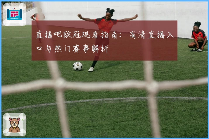 直播吧欧冠观看指南：高清直播入口与热门赛事解析